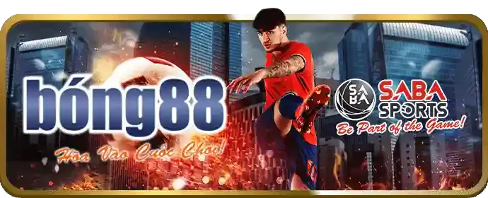 Giới thiệu chuyên sâu về nền tảng của chúng tôi